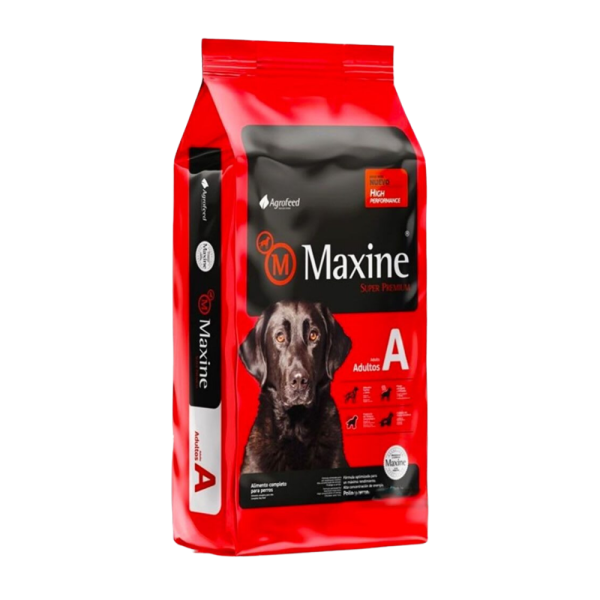 Maxine Adulto 21 KG