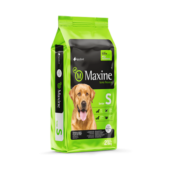 Maxine Senior 21 KG