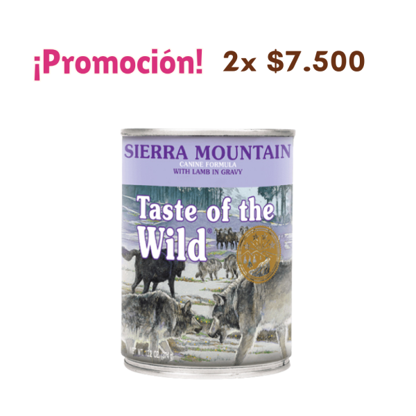 TOW Lata  Sierra Mountain Cordero 390 GR